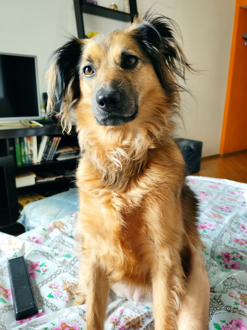 Luna